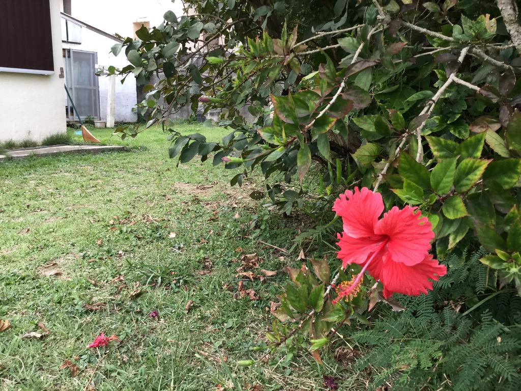 Natural Factory Okinawa Εξωτερικό φωτογραφία